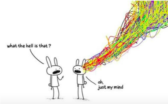 Therapist Training